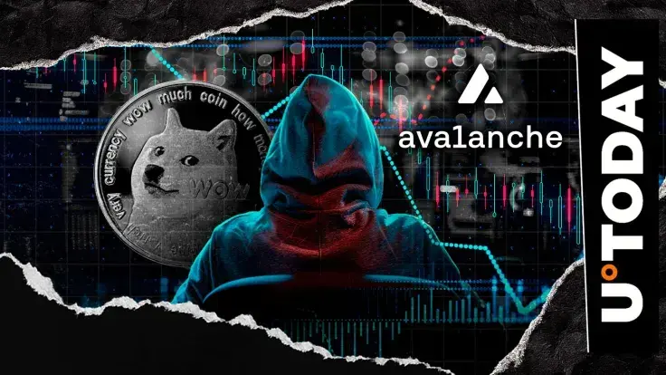 Dogecoin Founder Sounds Unusual Alarm on Avalanche