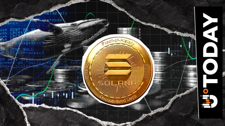 Bitcoin and Ethereum Ditched for Solana, Whale Bets on SOL Breakout