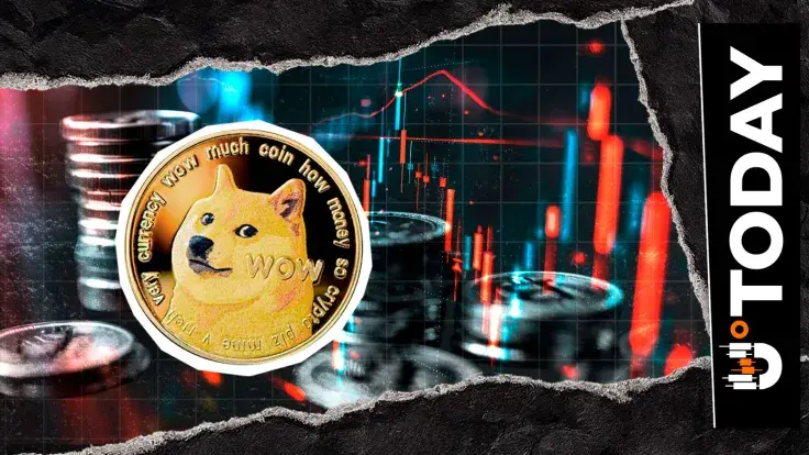 300,000,003 DOGE Shifted in Mysterious Transaction, What's Behind It?