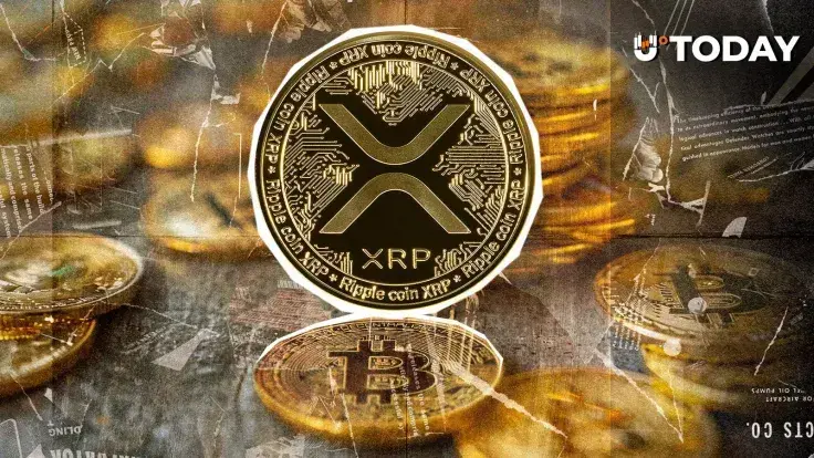 XRP Needs to Decouple From Bitcoin to End Volatility: Black Swan Capitalist