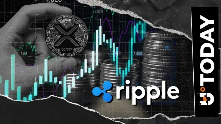 Ripple Issues New Warning to XRP Holders to Stay Vigilant, What's It About?