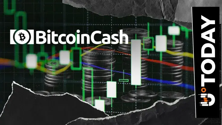 Bitcoin Cash Rockets 8% as Crypto Market Eyes Rebound