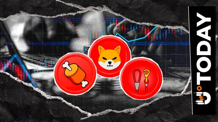 Shiba Inu Exec on SHIB, BONE, LEASH: 'Darkest Periods Eventually Turn'