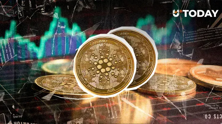 ADA to $0.60? Cardano Rockets 14% as Price Sets Weekly High