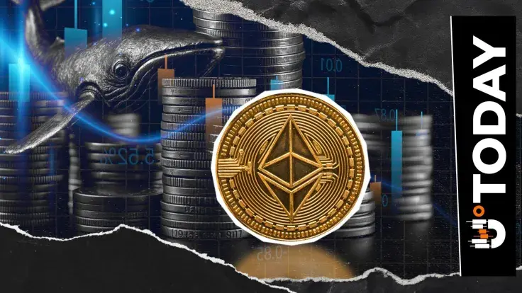 34,188 Ethereum Exit Popular Crypto Exchange as Whale Bet Grows