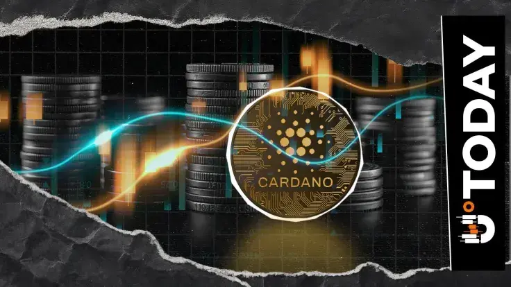 Binance Records Sudden 50,000,000 ADA Transfer, Cardano Price Reaction Unveiled
