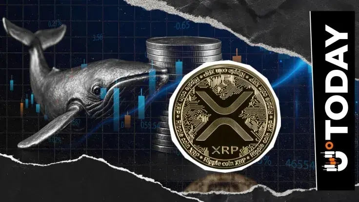 XRP Whales Disappear, Leaving 1.18 Billion Coins in 4 Weeks