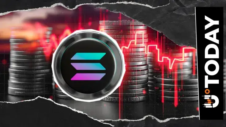 Solana Down 35% in 2025, Yet It Didn't Fail