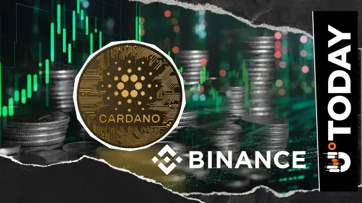 69% of All Binance Top Traders Are Long Cardano Amid $1.25 Billion Success of "New ADA"