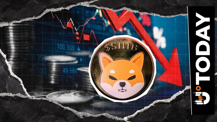 Shiba Inu (SHIB) Price Crash: Double Bottom Formed, There's a Chance