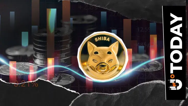 -101,000,000,000 Shiba Inu (SHIB) in 24 Hours: Was Control Taken?