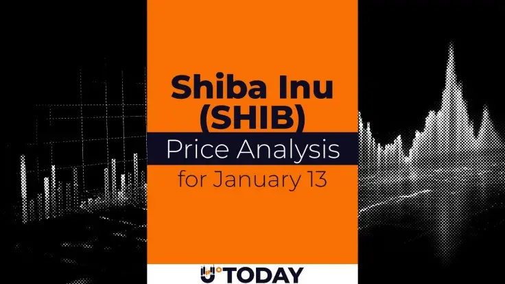 SHIB Price Analysis for January 13