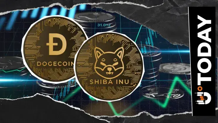 Dogecoin or Shiba Inu (SHIB) for February? Meme Coin Price History Reveals 397% Imbalance