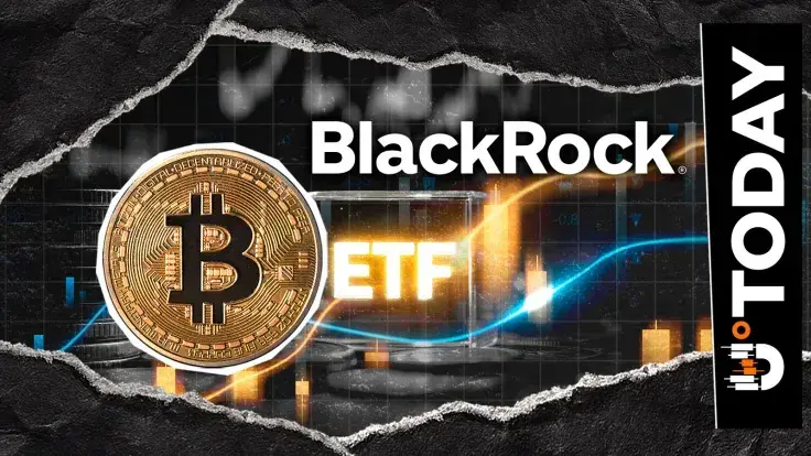 $697,000,000 Inflow: BlackRock Bitcoin ETF Sparks BTC Price Rebound Signal