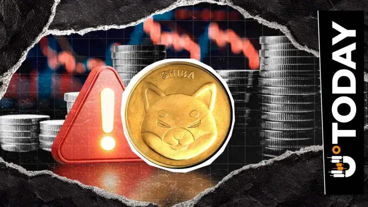 Crucial Shiba Inu Warning Issued as New Scam Emerges