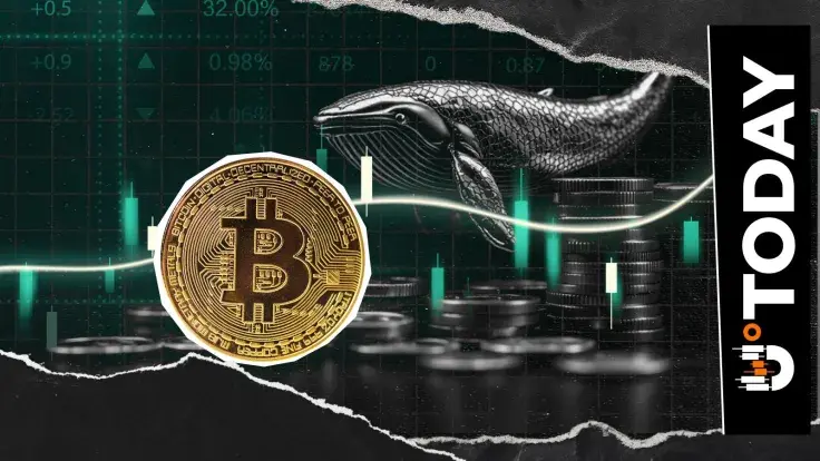 $2.76 Billion in Bitcoin Purchased in Mere Days: What Are Whales Up To?