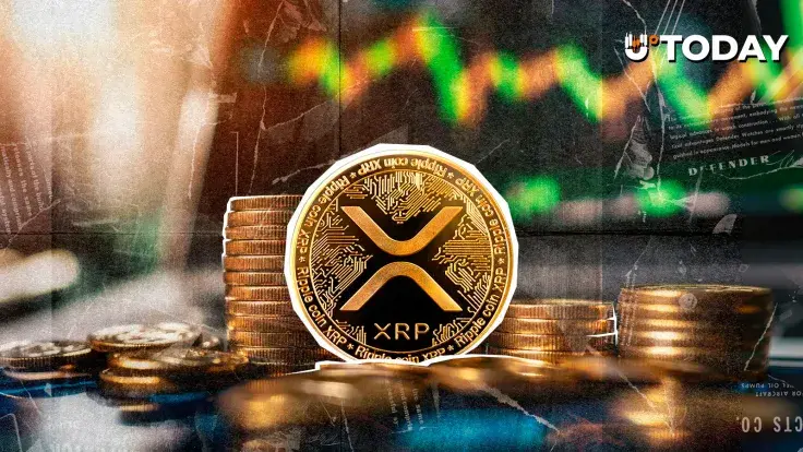 XRP Rockets 508% in Yearly Capital Allocation, With Germany and US Leading