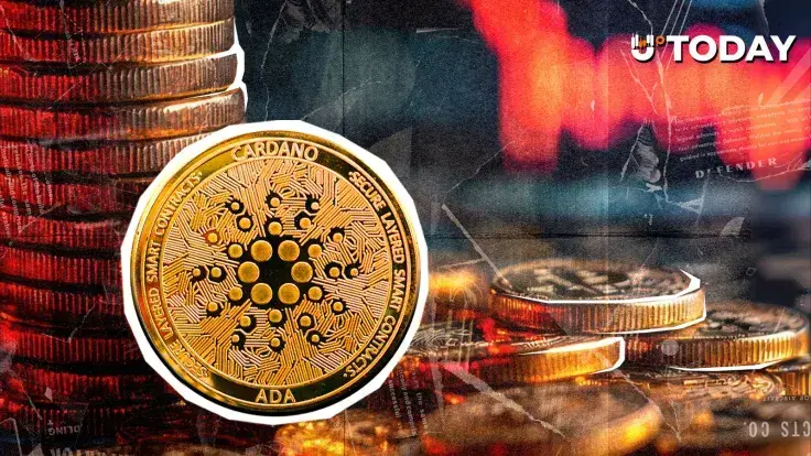 Cardano Midnight Price Crashes 20%, Is Rally Over?