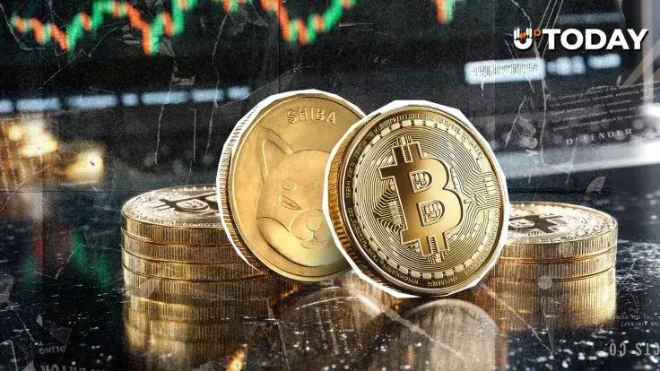 Only One Can Win? Shiba Inu (SHIB) and Bitcoin Set up Rare February Face-Off