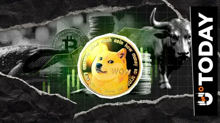 Mysterious Bitcoin Whale Becomes Dogecoin Bull With 15,662,887 DOGE Long