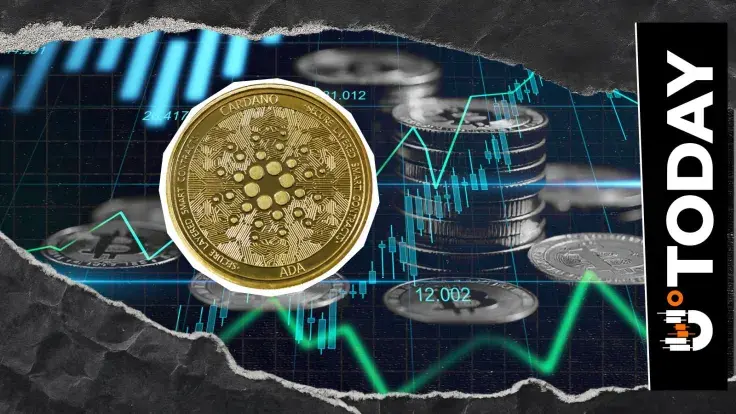 1,930,000,000 ADA Held by Largest Cardano Address, What's Behind Massive Stake?