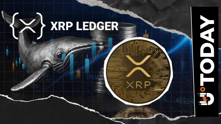 XRPL Payment Volume Hits 773 Million XRP: Whale Movement or New Utility Trend?