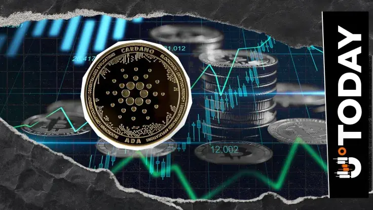 'Cardano Has a Lot of Visible Work' Amid Behind-the-Scenes Efforts: Anastasia CEO Notes