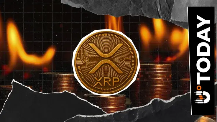 XRP Burn Rate Declines 2% Despite Price Resurgence