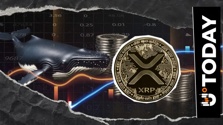 XRP Whale Moves $127 Million as Price Dips 5%