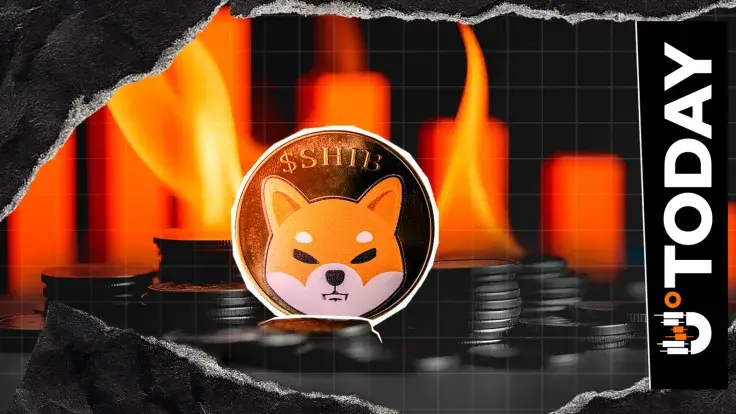 SHIB Burn Metric Stuns With Massive 91% Crash: Details