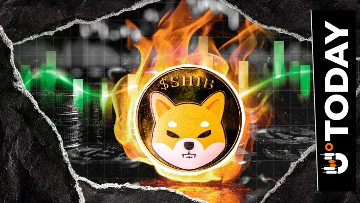 Shiba Inu Jumps 12% in Burn Rate, But Price Is Still Down