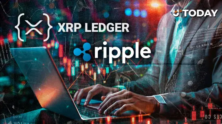New XRPL Development Tool Faces Critique Over Mainnet Feature Compatibility