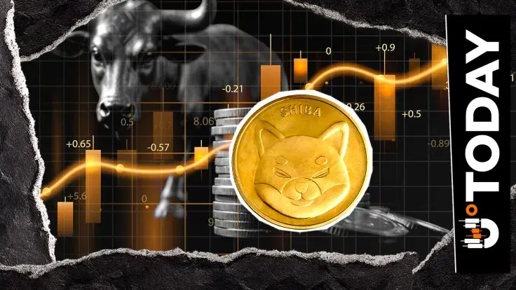 Shiba Inu's 'Quiet' Phase Might Be Its Loudest Bullish Signal Yet