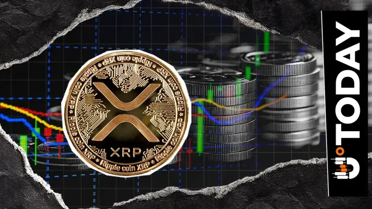 XRP Faces Further Downside Risk After $435 Million in Liquidations, Bollinger Bands Warn