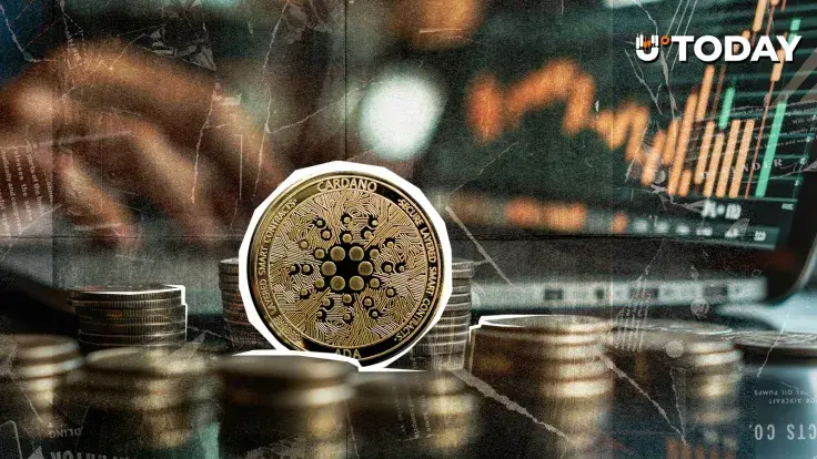 Large Cardano Holders Add 819 Million ADA as Price Falls 71%