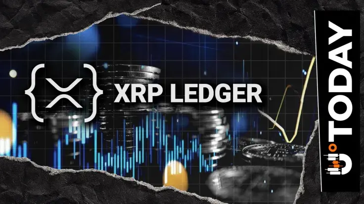 XRP Ledger Grows 300% in 48 Hours: Payments Count Recovers to Pre-Crash Levels