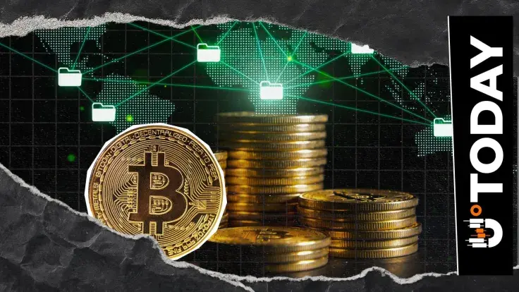 Bitcoin Hits Unprecedented Wallet Adoption Levels With 58.45 Million All-Time High