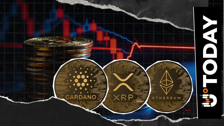 Cardano, XRP, Ethereum and Other Altcoins' Popularity Collapses: Does Anyone Need Them?