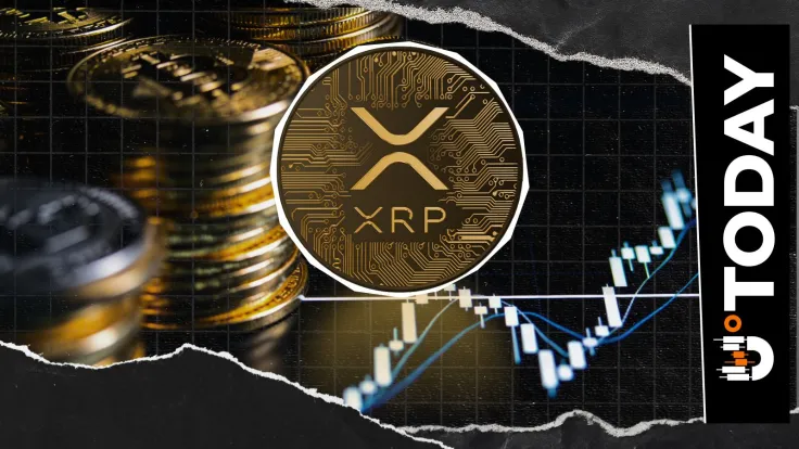 XRP Accumulation Resumes as Buyers Take Advantage of Oversold Conditions