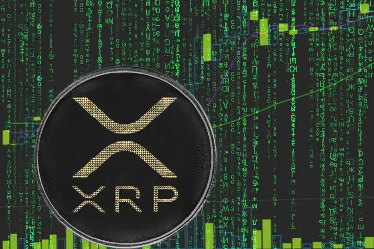 Evernorth CEO Explains Why XRP Price Lags Network Adoption