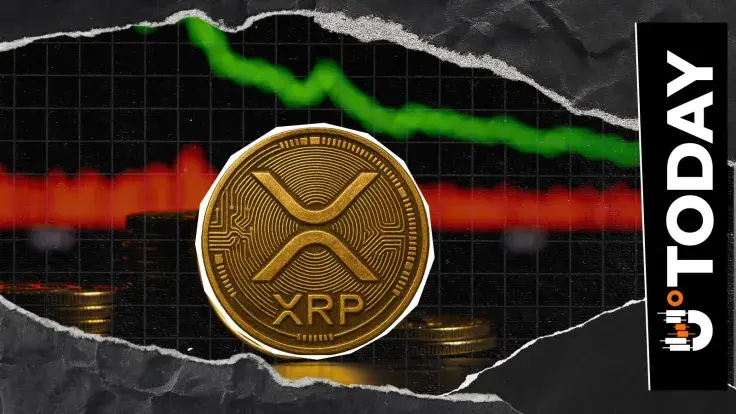 XRP Rally Fails to Lift Payment Volume as Metric Declines 70%