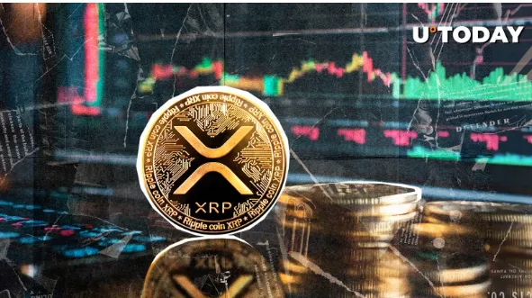 Binance, Coinbase Among Largest XRP Holders, See Full Top 10 List