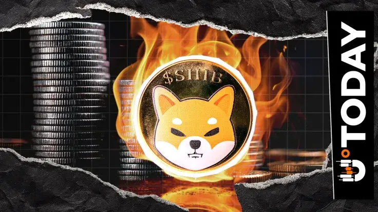 SHIB Burn Volume Falls to Zero After High-Activity Weekend