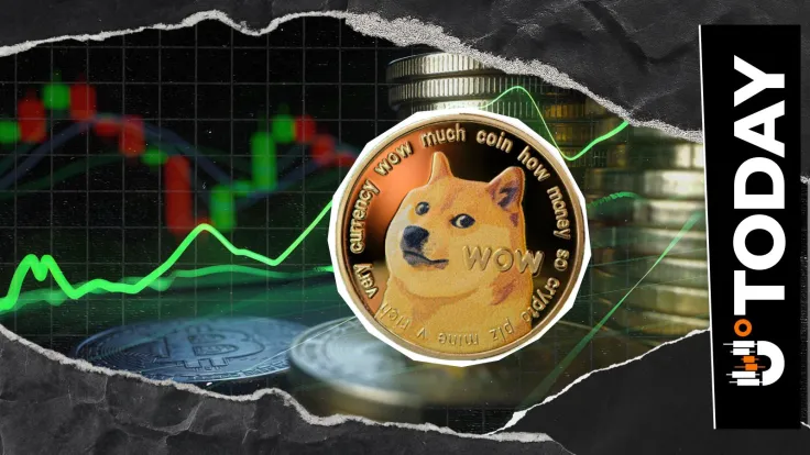 4,897,291 DOGE Shorts Liquidation Hit as Buyers Return, What's Next?