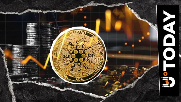 Cardano Liquidation Imbalance Hits 6,127% as ADA Exits Top 10 Crypto List