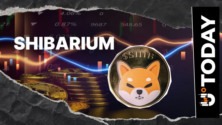 Shiba Inu: Shibarium Sees Sudden 758% Transaction Drop, What's Behind?