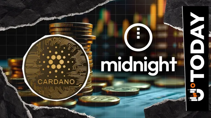 'Midnight Isn't Hurting Cardano,' Insider Defends Charles Hoskinson's Vision
