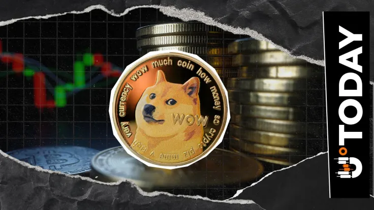 'Doge Not Concerned With the Bear': Dogecoin Team Reacts to Market Lull