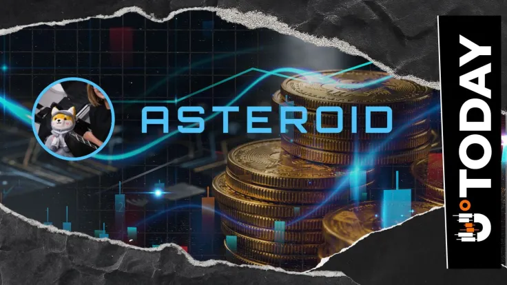 Does Asteroid Shiba Actually Hold a Future?