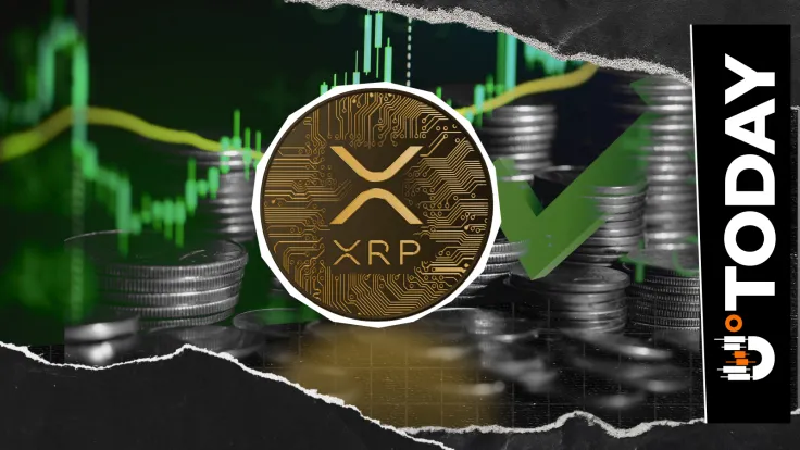 Why XRP Ledger is Immune to the Zero-Day Attack Unlike Litecoin, Top XRPL Contributor Explains
